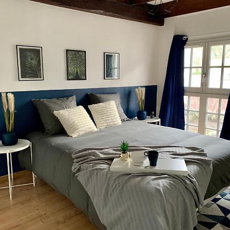 Appartement Les Bleuets - Centre Ville De Saumur Eksteriør billede